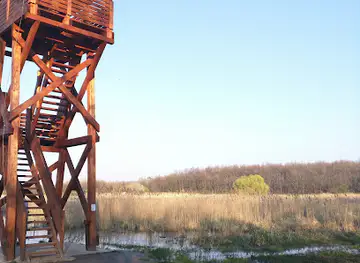 Merzse Swamp Nature Reserve