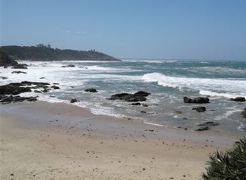 australia/mid-north-coast/attraction/koala-conservation-hospital-port-macquarie