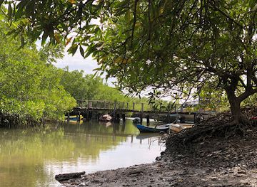 the-gambia/kiang-east-national-park/attraction/lamin-lodge