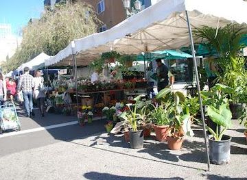 california/glendale/attraction/hollywood-farmers-market
