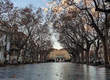 spain/girona/attraction/rambla-de-figueres