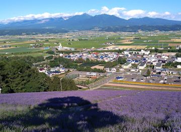 japan/hokkaido/attraction/nakafurano-forest-park