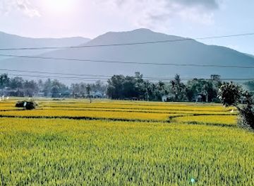 vietnam/central-highlands/attraction/bien-lo-dieu