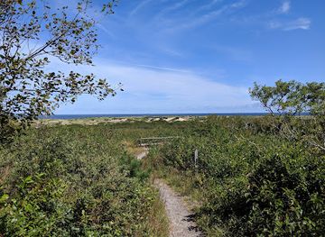 massachusetts/provincetown/attraction/pilgrim-spring-trail