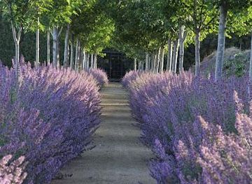 australia/melbourne/attraction/alowyn-gardens