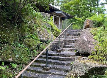 japan/yakushima/attraction/botanic-gardens