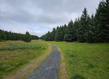 Þjóðhátíðarlundur