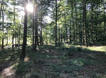 denmark/horsens/attraction/lokkeskoven