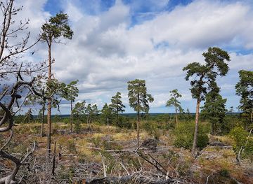 sweden/gotland/attraction/torsburgen