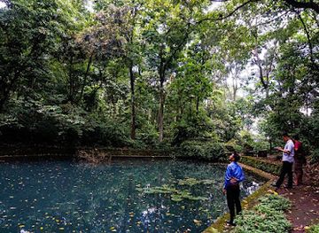 indonesia/west-nusa-tenggara/attraction/suranadi-nature-recreation-park