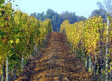 italy/monferrato/attraction/colle-manora