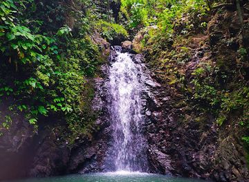 philippines/zamboanga-peninsula/attraction/dulian-falls
