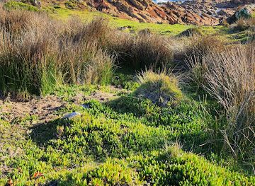australia/tasmanian-wilderness/attraction/bluff-hill-point