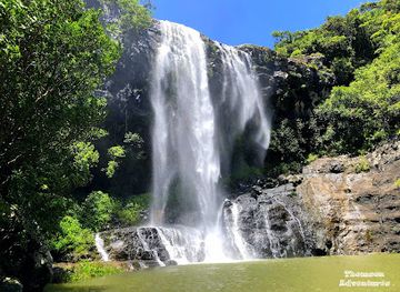 mauritius/black-river-gorges-national-park/attraction/thomson-adventures