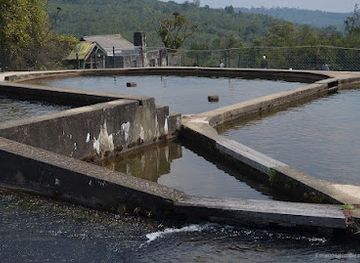 zimbabwe/nyanga-national-park/attraction/trout-hatchery-nyanga-national-park