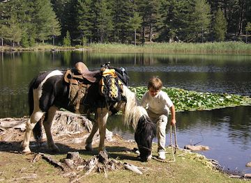 france/corsica/attraction/astalla