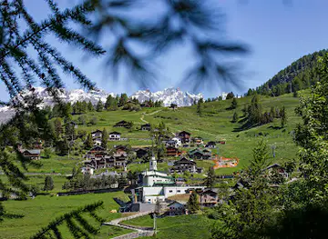 View Paradise Chamois