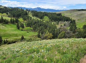 montana/gallatin-national-forest/attraction/drinking-horse-mountain-trailhead
