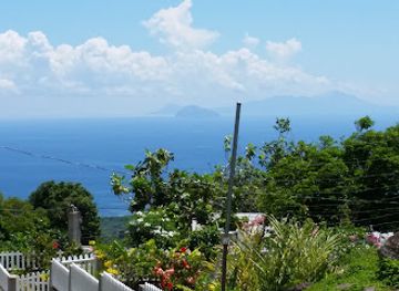Mt Nevis Summit Trailhead