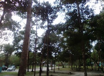 guyana/demerara-mahaica/attraction/camp-alpha