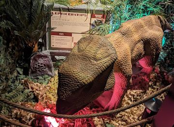 nevada/las-vegas/attraction/dino-safari-las-vegas-a-walk-thru-adventure