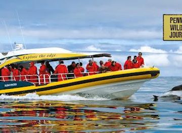 australia/hobart/attraction/pennicott-wilderness-journeys