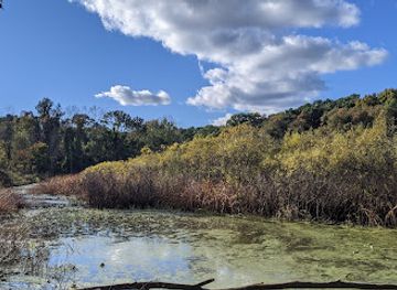 michigan/kalamazoo/attraction/kleinstuck-preserve-nature-trail