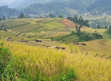 vietnam/sapa/attraction/ban-ho