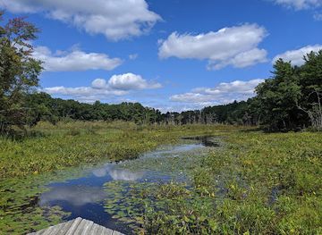 massachusetts/central-massachusetts/attraction/mass-audubon-s-broadmoor-wildlife-sanctuary