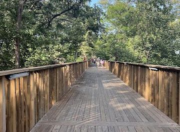 colombia/barranquilla/attraction/ecoparque-cienaga-de-mallorquin-ecoturismo-mallorquin