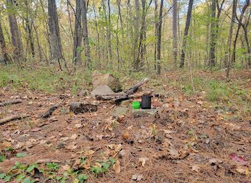 oklahoma/talimena-scenic-byway/attraction/kiamichi-trailhead