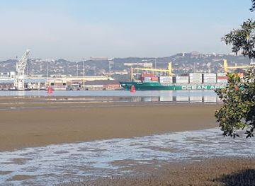 south-africa/durban/attraction/bayhead-natural-heritage-site