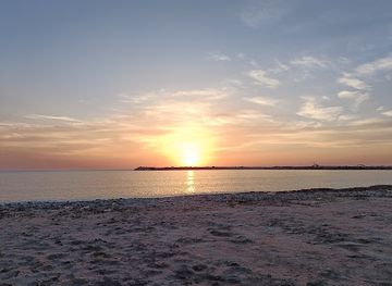 albania/rrogozhina-region/attraction/porto-romano