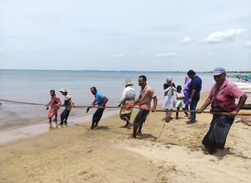 sri-lanka/jaffna/attraction/beach-road-jaffna