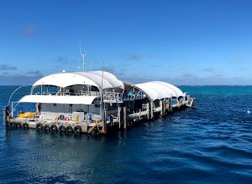 australia/great-barrier-reef/attraction/playground-dive-site-normans-reef-great-barrier-reef