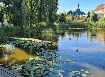 slovakia/kosice/attraction/jazierko-v-mestskom-parku