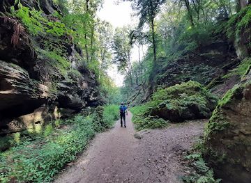 luxembourg/echternach/attraction/labyrinthe