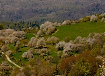 slovakia/gemer/attraction/ceresnove-sady-brdarka