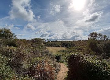 belgium/nieuwpoort/attraction/simliduinen