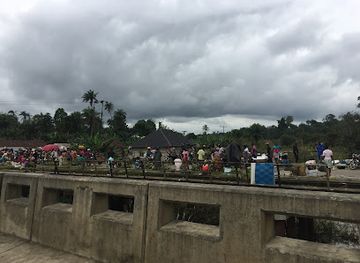 nigeria/niger-delta/attraction/bayelsa-national-forest