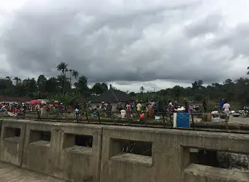 Bayelsa National Forest