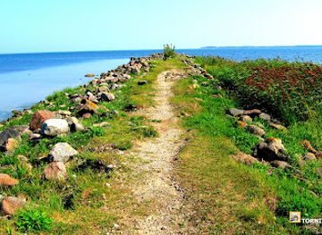 estonia/saaremaa/attraction/taaliku-harbour-and-beach