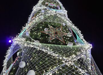 lithuania/palanga-beach/attraction/kaledine-egle-ziemos-laikotarpiu