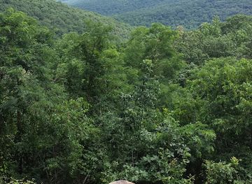 alabama/monte-sano-state-park/attraction/the-big-cat-creek-tract