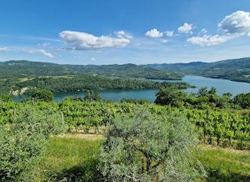 croatia/istrian-peninsula/attraction/viewpoint-on-lake-butoniga