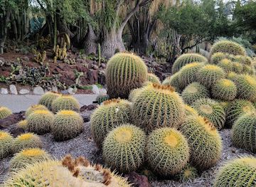 california/san-gabriel-valley/attraction/desert-garden