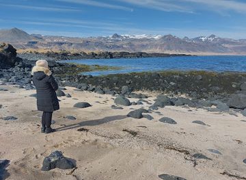 iceland/snafellsbar-area/attraction/frambudir