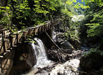 austria/pinzgau/attraction/seisenbergklamm