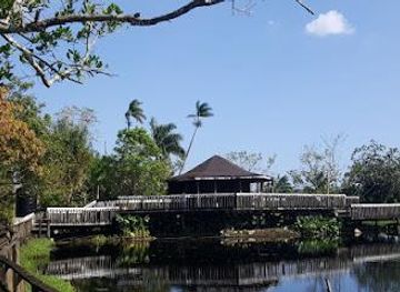 jamaica/savanna-la-mar/attraction/royal-palm-reserve