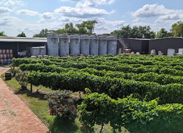 texas/brazos-valley/attraction/messina-hof-estate-winery